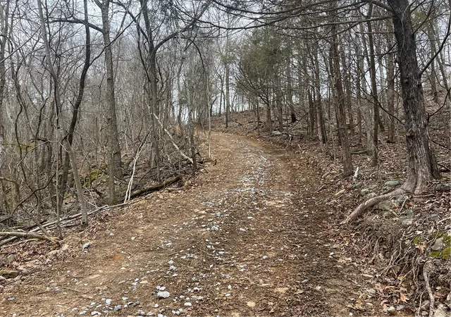 5th image of Madison County Road 6124, Elkins, AR 72727 | MLS# 1343289