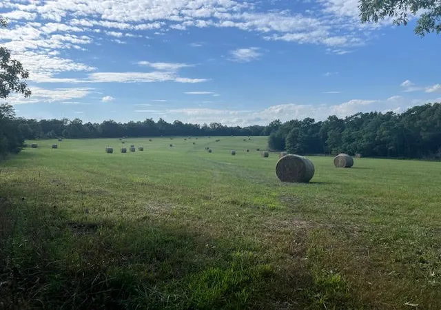 Homes for sale in Compton, AR | 1550 Tbd County Road, Compton, AR 72624 | MLS# 1343173