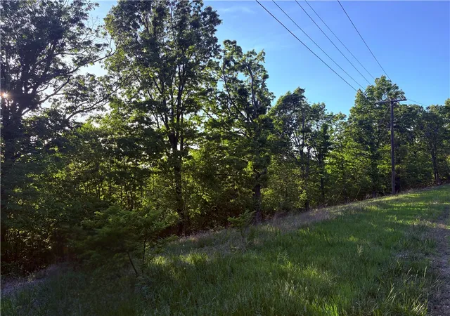 Homes for sale in Eureka Springs, AR | 16 & 18 Summit Dr, Eureka Springs, AR 72631 | MLS# 1343544