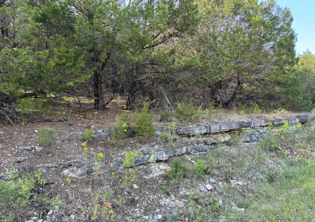 Homes for sale in Holiday Island, AR | 270 Table Rock Dr, Holiday Island, AR 72631 | MLS# 1343785