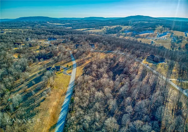 Homes for sale in Harrison, AR | 1739 Goff Rd, Harrison, AR 72601 | MLS# 1343049