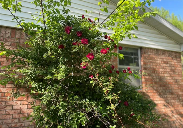 4th image of 404 Michael St, Springdale, AR 72764 | MLS# 1343413
