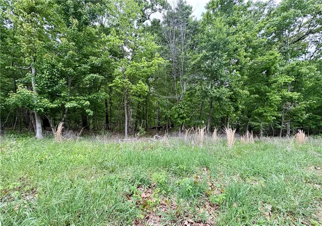 Homes for sale in Bella Vista, AR | Lot 4 Devonshire Rd, Bella Vista, AR 72715 | MLS# 1343878