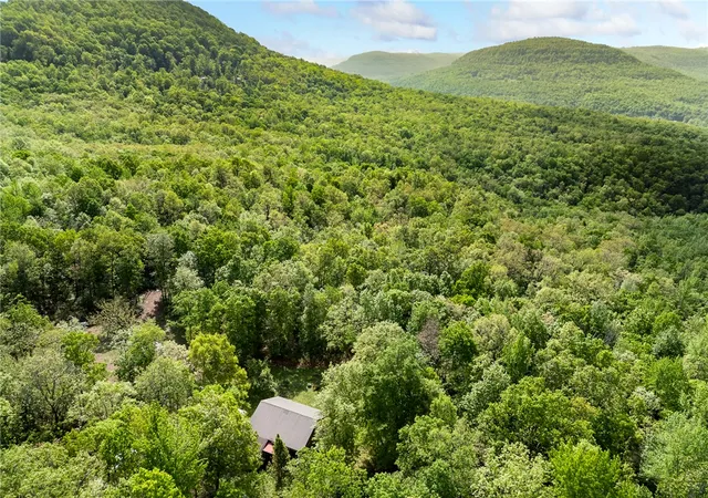 2nd image of 4459 Nc 8650, Jasper, AR 72641 | MLS# 1344012