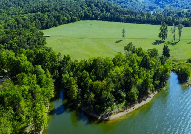 Homes for sale in Green Forest, AR | 000 Hwy 311, Green Forest, AR 72638 | MLS# 1343912
