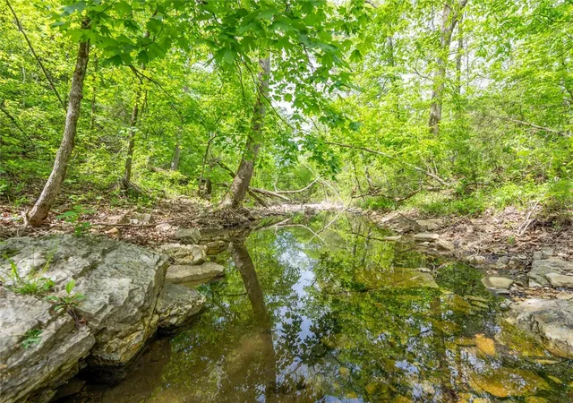 3rd image of 3804 Mc 6074, Flippin, AR 72634 | MLS# 1344101