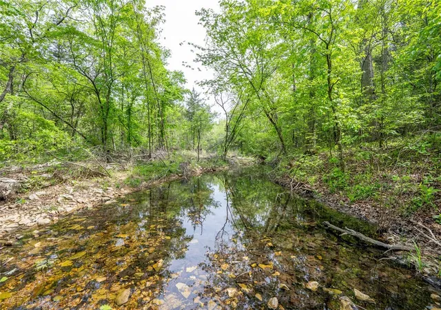 4th image of 3804 Mc 6074, Flippin, AR 72634 | MLS# 1344101