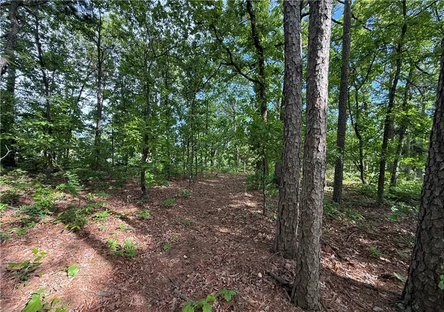 Photo 3 of Land for sale at 8 Soth Hills Loop, Holiday Island, AR 72631 | MLS# 1344328 | Listing updated on 2026-04-28