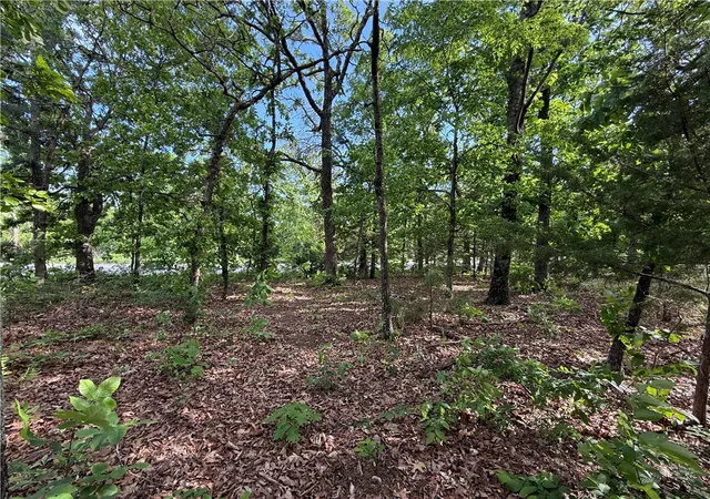 Photo 3 of Land for sale at 8 Soth Hills Loop, Holiday Island, AR 72631 | MLS# 1344328 | Listing updated on 2026-04-28