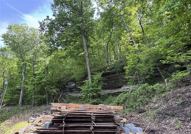 25th image of 22005 Indian Bluff Rd, Garfield, AR 72732 | MLS# 1344588