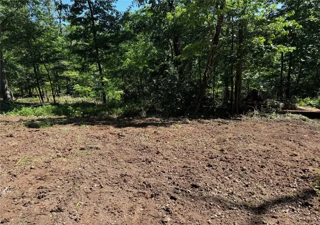 2nd image of 22005 Indian Bluff Rd, Garfield, AR 72732 | MLS# 1344588