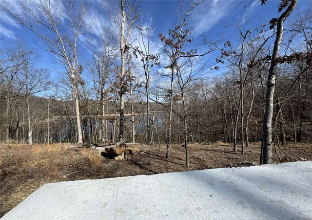 5th image of 22005 Indian Bluff Rd, Garfield, AR 72732 | MLS# 1344588