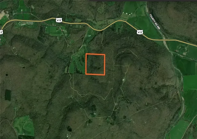 Homes for sale in Green Forest, AR | Tbd Hwy 412, Green Forest, AR 72638 | MLS# 1344621
