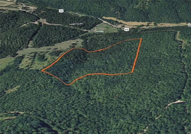 Homes for sale in Green Forest, AR | Tbd Hwy 412, Green Forest, AR 72638 | MLS# 1344621
