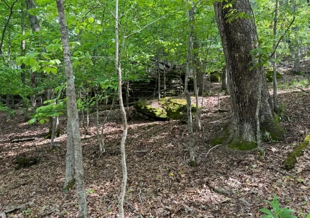 4th image of 2195 Acres Glen Rock Dr / Cr 150, Eureka Springs, AR 72632 | MLS# 1343874