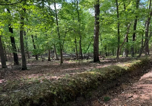 5th image of 2195 Acres Glen Rock Dr / Cr 150, Eureka Springs, AR 72632 | MLS# 1343874