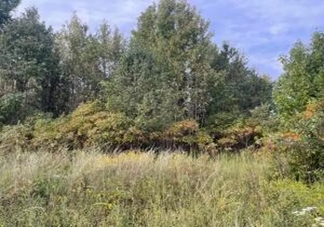 Photo 3 of Land for sale at Crawford St, Clarksville, AR 72830 | MLS# 1344768 | Listing updated on 2026-05-13