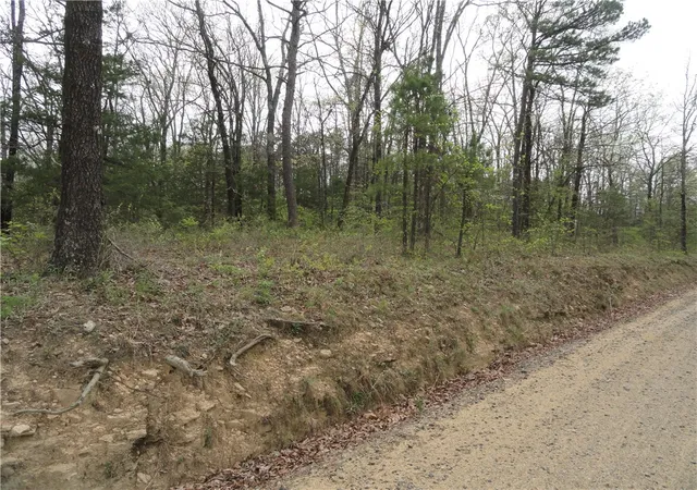 44th image of 0000 Long Branch, Bee Branch, AR 72013 | MLS# 1344708