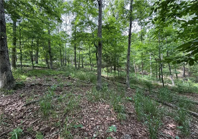 Homes for sale in Eureka Springs, AR | Tbd Cr 206, Eureka Springs, AR 72632 | MLS# 1344901