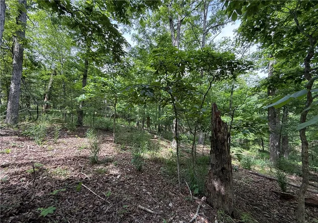 Homes for sale in Eureka Springs, AR | Tbd Cr 206, Eureka Springs, AR 72632 | MLS# 1344901