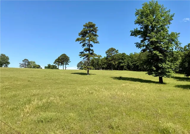 Homes for sale in London, AR | Cr 1723, London, AR 72847 | MLS# 1344793