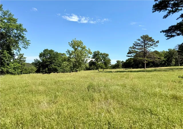 Homes for sale in London, AR | Cr 1723, London, AR 72847 | MLS# 1344793