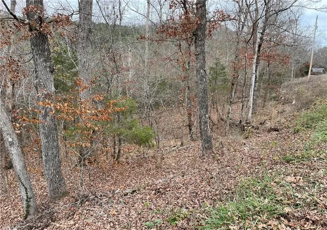 Homes for sale in Holiday Island, AR | 88 Valley Dr, Holiday Island, AR 72631 | MLS# 1344968
