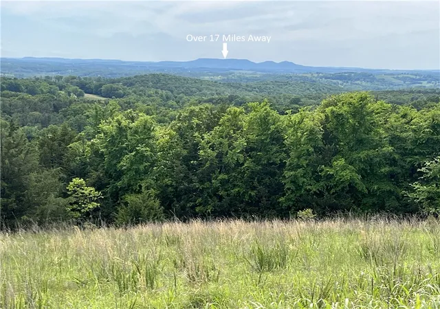 Homes for sale in Yellville, AR | Mc 3024, Yellville, AR 72687 | MLS# 1345025