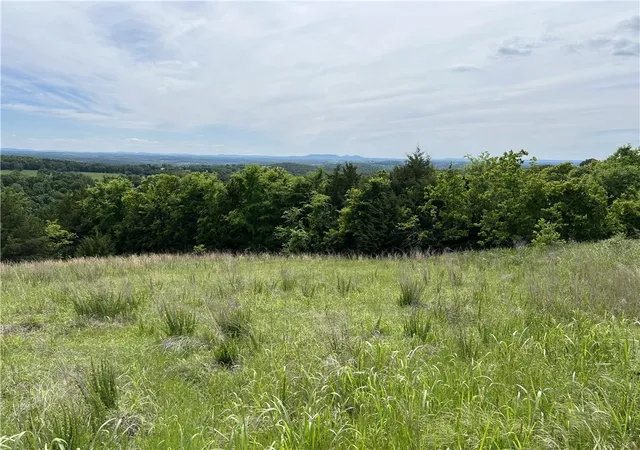 4th image of Mc 3024, Yellville, AR 72687 | MLS# 1345025