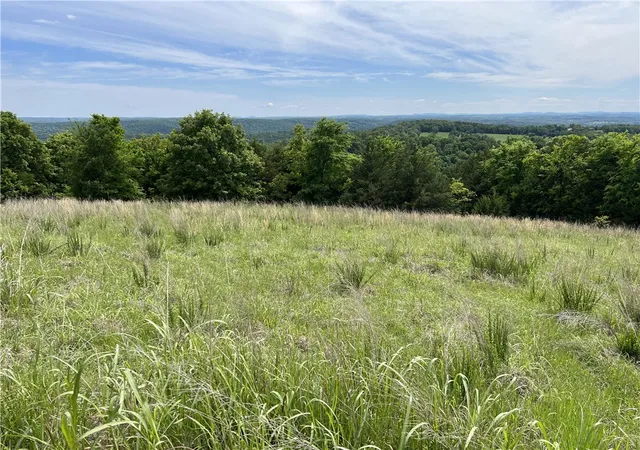 5th image of Mc 3024, Yellville, AR 72687 | MLS# 1345025