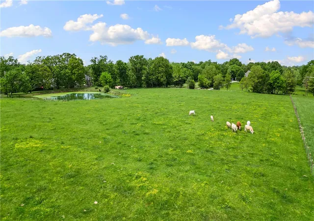 19th image of 505 Acres Greer St, Pea Ridge, AR 72751 | MLS# 1344925