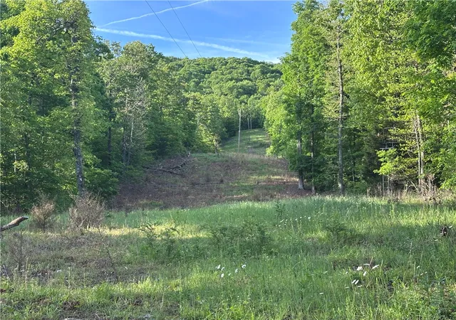 3rd image of Tbd Cr 935, Alpena, AR 72611 | MLS# 1345316
