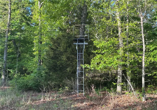 4th image of Tbd Cr 935, Alpena, AR 72611 | MLS# 1345316