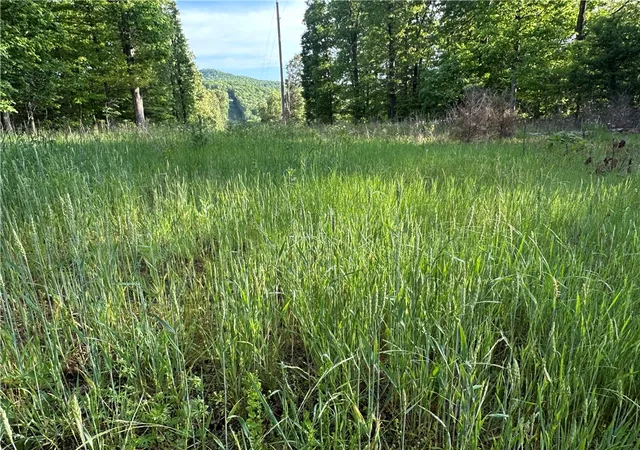 5th image of Tbd Cr 935, Alpena, AR 72611 | MLS# 1345316