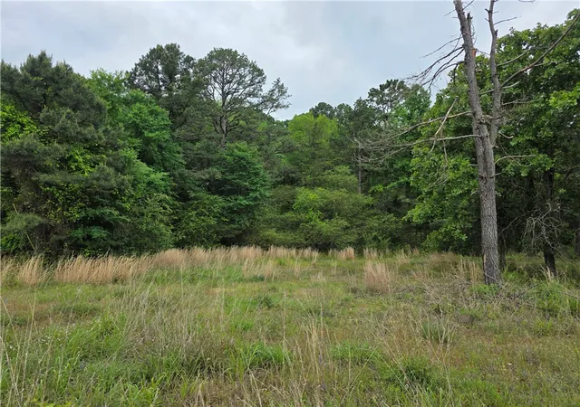 Homes for sale in Dover, AR | Linker Mountain, Dover, AR 72837 | MLS# 1345351