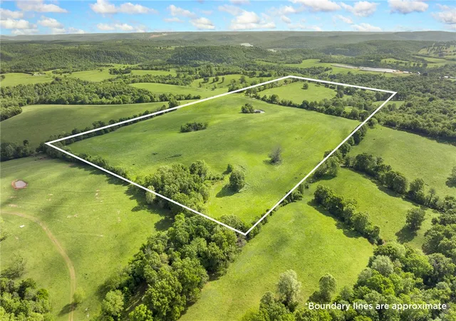 44th image of 706 County Road 650, Green Forest, AR 72638 | MLS# 1345403