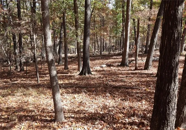 Photo 3 of Land for sale at Sweet Pea Lots 772 785 Sweet Pea Dr, Rogers, AR 72756 | MLS# 1345306 | Listing updated on 2026-05-08
