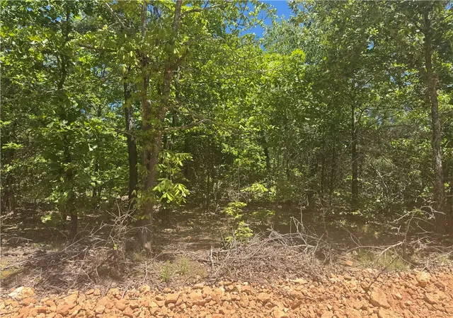 Homes for sale in Bunch, OK | Tbd 875 Rd, Bunch, OK 74931 | MLS# 1345647