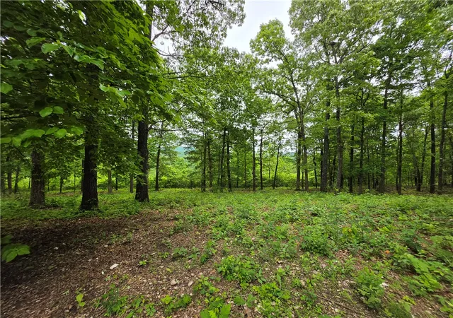 4th image of 233 Nc 2802, Marble Falls, AR 72648 | MLS# 1344856