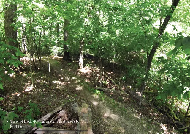 51st image of 4 Goring Cir, Bella Vista, AR 72714 | MLS# 1345562