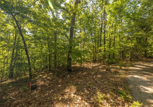 Homes for sale in Bella Vista, AR | Tbd Leith Ln, Bella Vista, AR 72715 | MLS# 1346908