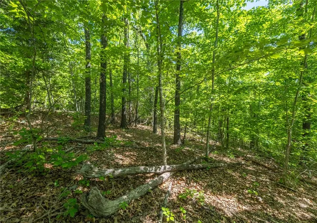 Homes for sale in Bella Vista, AR | Tbd Leith Ln, Bella Vista, AR 72715 | MLS# 1346908