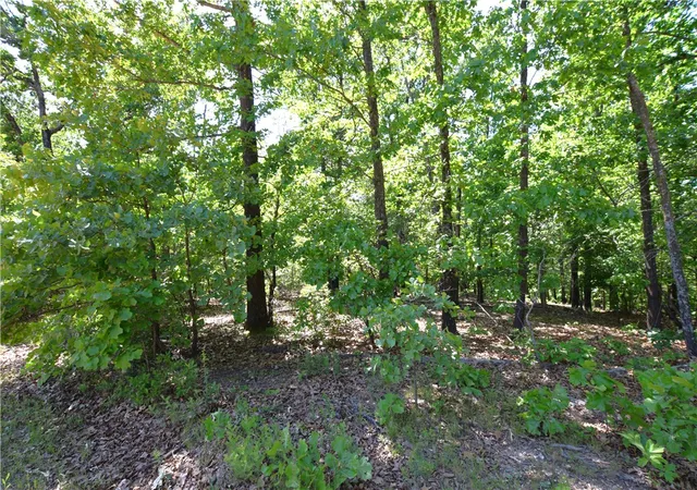 Homes for sale in Proctor, OK | Tbd Sacred Fire Ridge Rd, Proctor, OK 74457 | MLS# 1346797