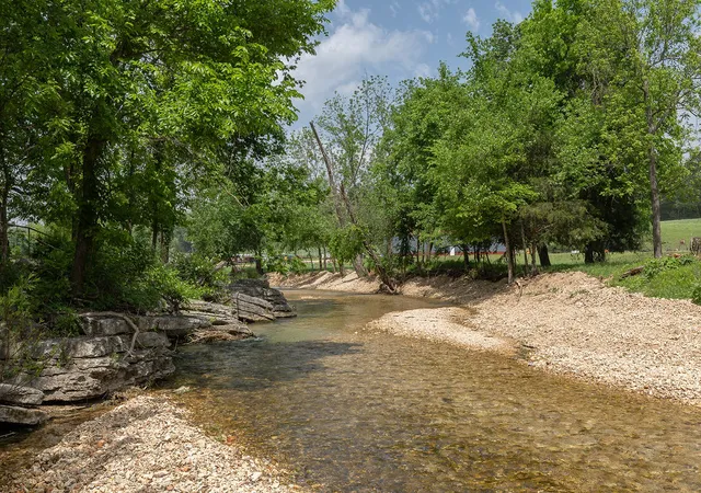 Homes for sale in Noel, MO | 1168 Upper Mill Creek Rd, Noel, MO 64854 | MLS# 1346955