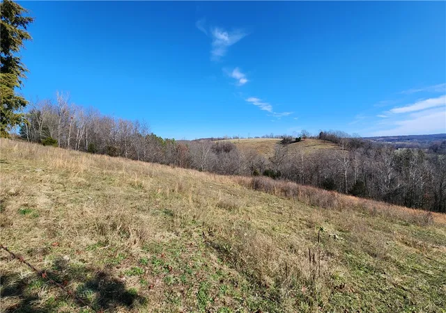 Homes for sale in Noel, MO | 1168 Upper Mill Creek Rd, Noel, MO 64854 | MLS# 1346955