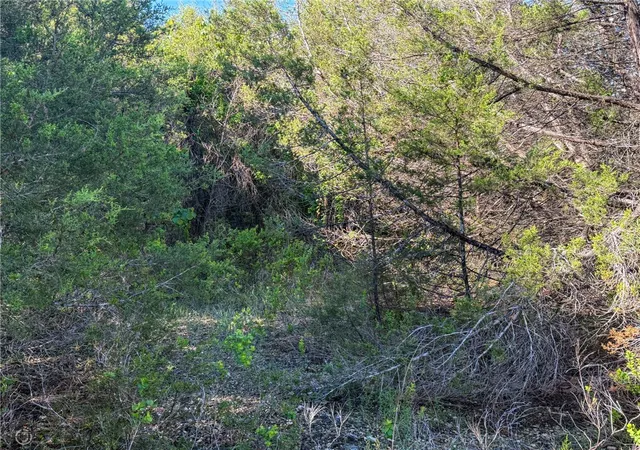 33rd image of Hwy 246, Berryville, AR 72616 | MLS# 1346957