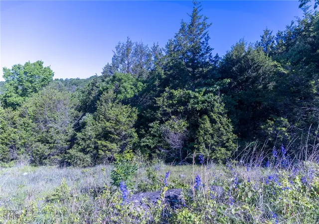 Photo 3 of Land for sale at Highway 246, Berryville, AR 72616 | MLS# 1346957 | Listing updated on 2026-08-26