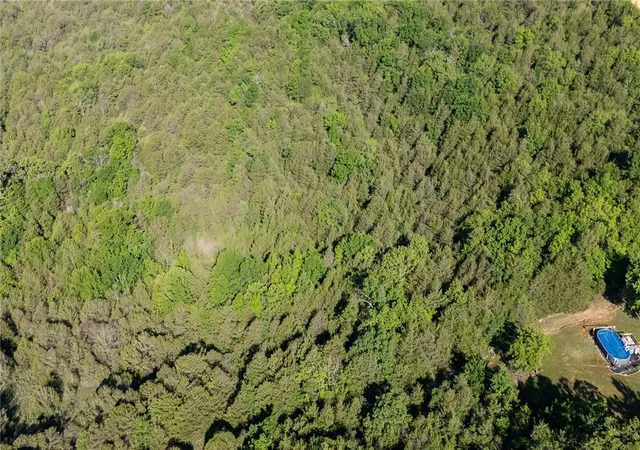 4th image of Hwy 246, Berryville, AR 72616 | MLS# 1346957