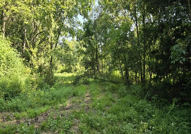 4th image of 0000 Nc 6277, Jasper, AR 72641 | MLS# 1347012