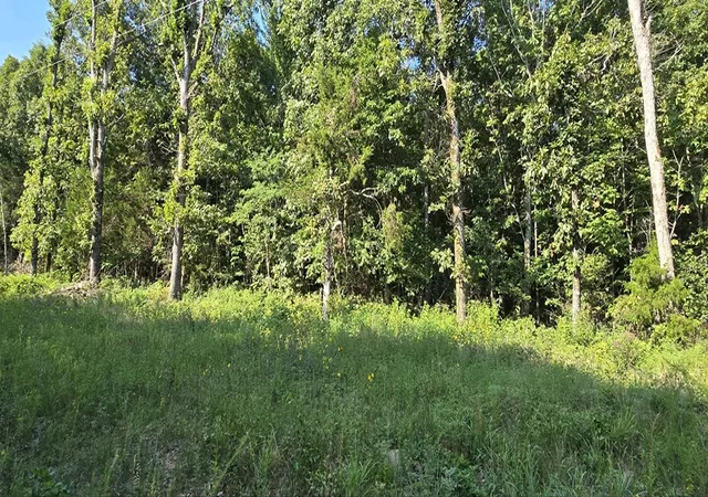 5th image of 0000 Nc 6277, Jasper, AR 72641 | MLS# 1347012